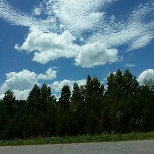 Meet your Posher, Shanea